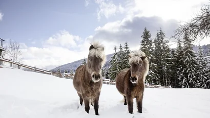 Ihr Luxushotel im Schwarzwald: das Hotel Bareiss