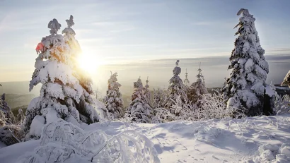 Ihr Luxushotel im Schwarzwald: das Hotel Bareiss