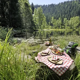 Ihr Luxushotel im Schwarzwald: das Hotel Bareiss