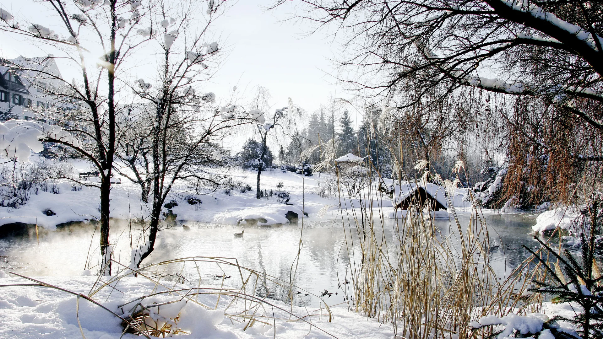 Ihr Luxushotel im Schwarzwald: das Hotel Bareiss