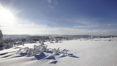 Ihr Luxushotel im Schwarzwald: das Hotel Bareiss